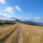 Di